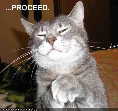 proceed-cat.jpg